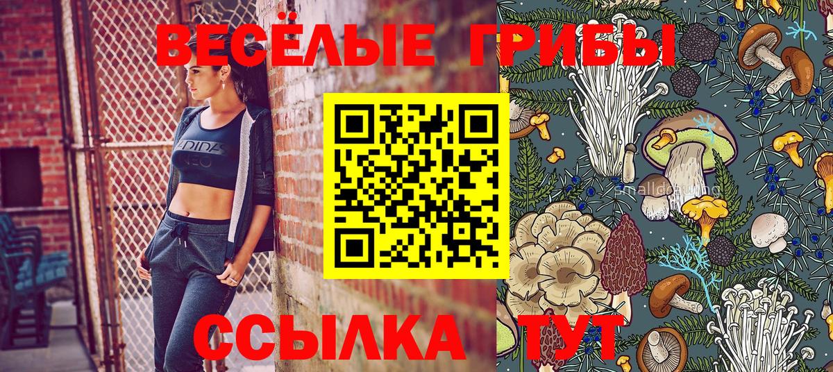 Галлюциногенные грибы Psilocybine cubensis Йошкар-Ола