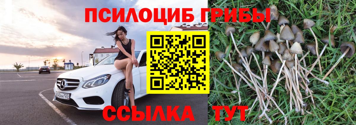 Галлюциногенные грибы Cubensis  Галлюциногенные грибы Magic Shrooms  Вход с VPN  Йошкар-Ола 